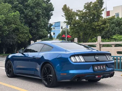 2017 Ford Mustang 2.3T Performance Edition, фото 4, лот 11409017