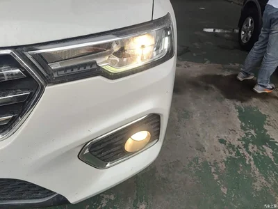 2021 Haval H7 2.0T Deluxe, фото 3, лот 10286832