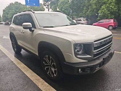 2024 Haval Big Dog 1.5T DCT Border Collie Edition, фото 4, лот 10593587