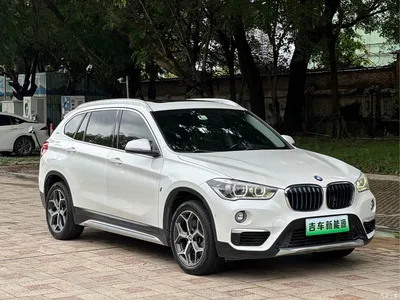 2018 BMW X1 New Energy xDrive25Le Luxury Model, фото 2, лот 10475367
