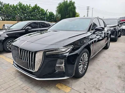 2025 Hongqi H5 1.5T DCT Qiyue 500,000 Units Commemorative Edition, фото 1, лот 10361034