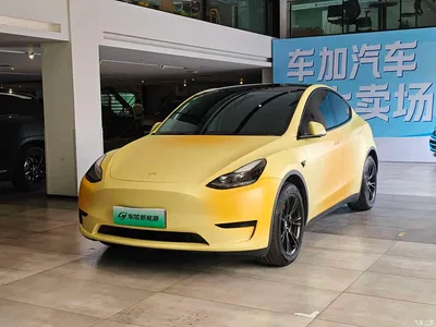 2022 Tesla Model Y Rear-Wheel Drive Version, фото 1, лот 11067724