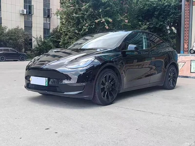 2021 Tesla Model Y Standard Range Rear-Wheel Drive, фото 1, лот 11205784