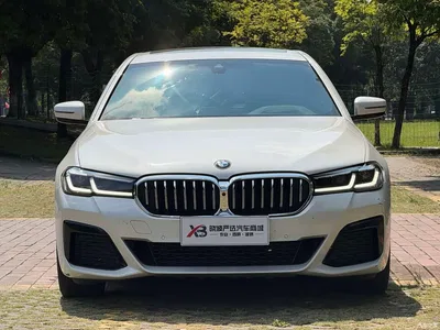 2021 BMW 5 Series Facelift 530Li Premium M Sport Package, фото 2, лот 11339448