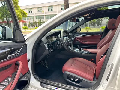 2018 BMW 5 Series Facelift 530Li Exclusive M Sport Package, фото 4, лот 11142728