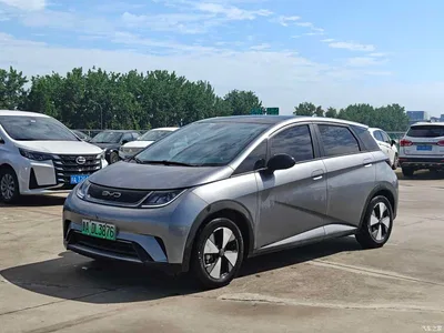 2023 BYD Dolphin 420km Fashion Edition, фото 1, лот 10255495