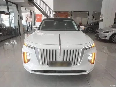 2022 Hongqi E-HS9 660km Qi Chang Edition (6-seater), фото 3, лот 10289437