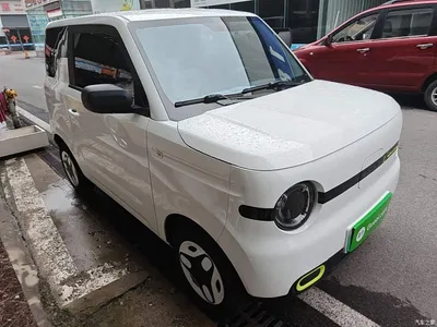 2025 Geely Galaxy Panda mini 210km Vitality Bear, фото 4, лот 10433293