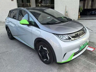 2021 BYD Dolphin Model 405km Fashion Edition, фото 2, лот 10263390
