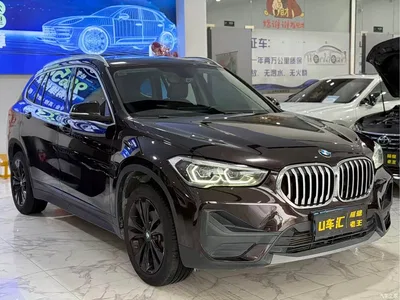 2021 BMW X1 sDrive20Li Fashion, фото 3, лот 10466317