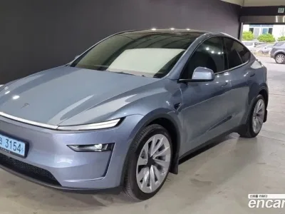 2025 Tesla Model Y Premium Long Range AWD, фото 1, лот 10210010
