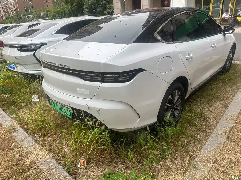 2024 BYD Destroyer 05 Glory Edition DM-i 55KM Luxury, фото 4, лот 11228287