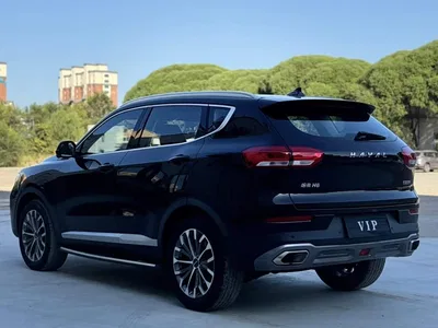 2020 Haval H6 1.5GDIT Automatic Platinum Champion Edition, фото 4, лот 10387685