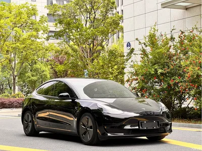 2022 Tesla Model 3 Model Rear-Wheel Drive Version, фото 3, лот 10353972