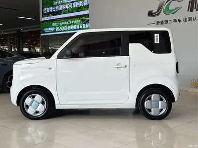 2023 Geely Galaxy Panda Mini 200km Endurance Bear, фото 4, лот 11415240