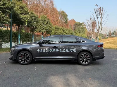 2025 Geely Xing Rui Oriental Glory 2.0TD Moon View Edition, фото 3, лот 10359273