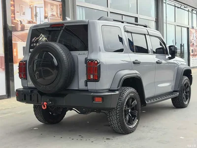 2021 Tank 300 Off-road Version 2.0T Conqueror, фото 4, лот 10405154