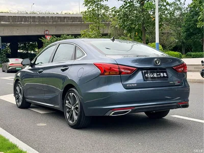 2022 Changan Ruicheng CC Blue Whale Edition 1.5T DCT Luxury, фото 4, лот 10274838