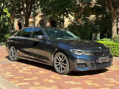 2022 BMW 3 Series 320Li M Sport Package, фото 1, лот 10481702