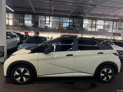 2024 BYD Dolphin Glory Edition 420km Fashion Edition, фото 3, лот 10250221