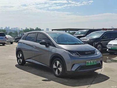 2023 BYD Dolphin 420km Fashion Edition, фото 3, лот 10255495