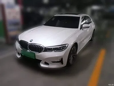 2020 BMW 3 Series 325Li Launch Edition, фото 1, лот 11196541