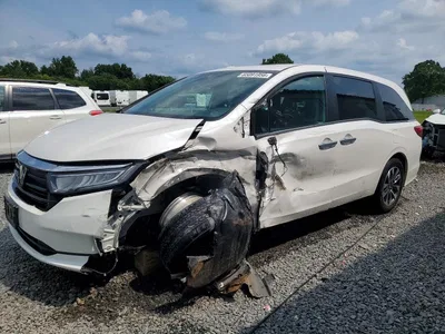 2023 HONDA ODYSSEY EXL, фото 1, лот 10675374
