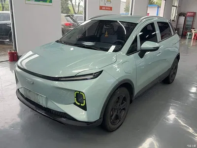2022 Geely E Firefly 320KM Well-behaved Tiger 4-seater, фото 1, лот 11155719