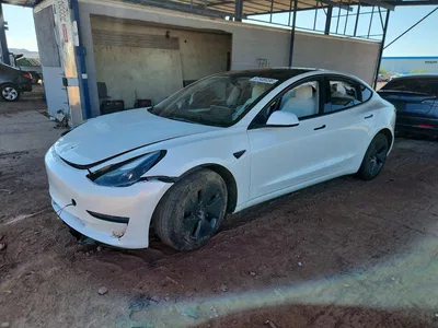 2023 TESLA MODEL 3, фото 1, лот 10856292