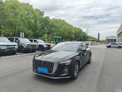 2025 Hongqi H5 1.5T DCT 600,000 Units Commemorative Edition, фото 1, лот 10360984