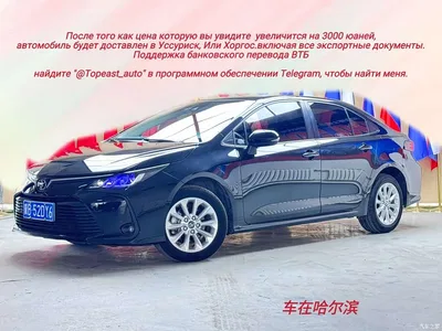 2022 Toyota Corolla 1.2T S-CVT Pioneer PLUS Edition, фото 1, лот 11183809