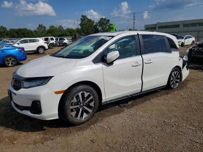 2026 HONDA ODYSSEY EXL, фото 1, лот 10695360