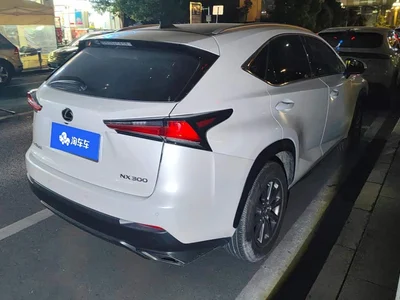 2018 Lexus NX Model 300 FWD Fengxing Edition, фото 3, лот 10398645