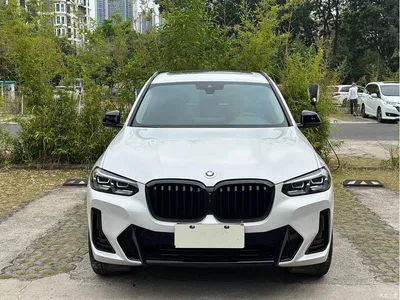 2023 BMW X3 Facelift xDrive30i Leading M Night Package, фото 2, лот 10461354