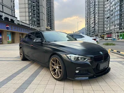 2019 BMW 3 Series 320Li M Sport Black Night Edition, фото 3, лот 10575227