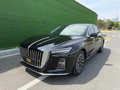 2024 Hongqi H5 2.0T Automatic Smart Connect Flag Smooth Edition, фото 1, лот 11227344