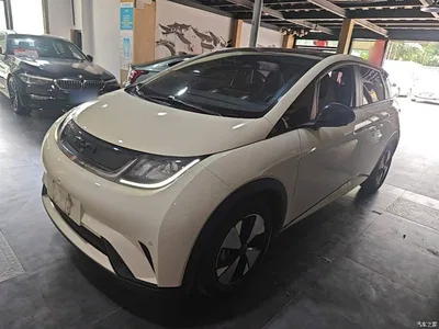2023 BYD Dolphin 420km Fashion Edition, фото 2, лот 10264414