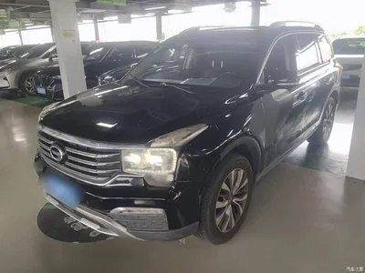 2017 GAC Trumpchi Trumpchi GS8 320T 2WD Luxury Smart Connect (7-seater), фото 1, лот 10421846