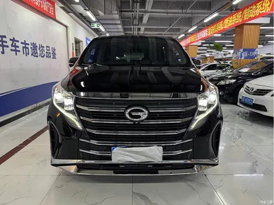 2021 GAC Trumpchi Trumpchi M8 Leading Show Series 390T Ultimate Edition, фото 1, лот 10417192