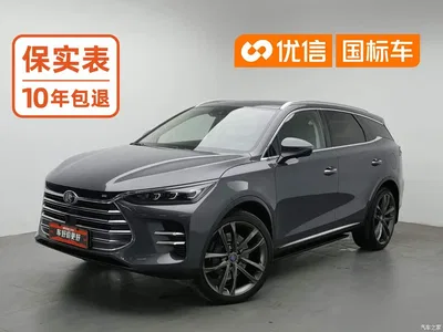 2019 BYD Tang New Energy DM 2.0T Full-time 4WD Smart Connection Pioneer Edition 5-seater China VI, фото 1, лот 10626205