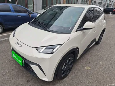 2024 BYD Seagull Glory Edition 305km Freedom Edition, фото 2, лот 10262903