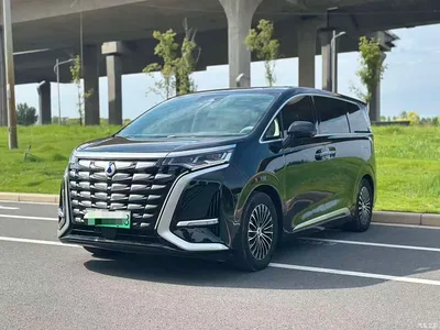 2024 Denza D9 DM-i 980 AWD Prestige, фото 2, лот 10449836