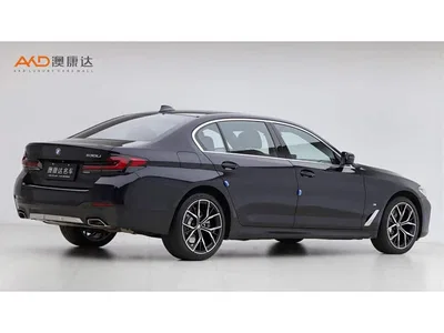 2022 BMW 5 Series Facelift II 530Li Premium Package M Sport, фото 3, лот 11566238