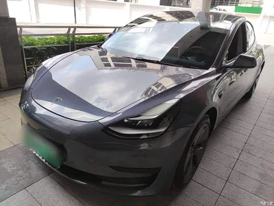 2021 Tesla Model 3 Standard Range Rear-Wheel Drive Upgrade, фото 2, лот 11189381