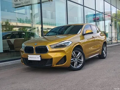 2021 BMW X2 sDrive25i Leading M Sport Package, фото 1, лот 10444208