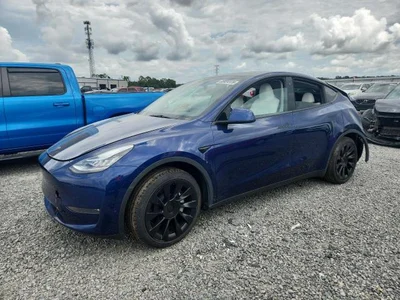 2023 TESLA MODEL Y, фото 1, лот 11592471