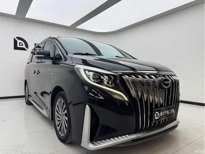 2021 GAC Trumpchi Trumpchi M8 Master Series 390T Ultimate Edition, фото 3, лот 10418793
