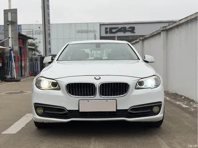 2012 BMW 5 Series 523Li Luxury, фото 2, лот 11017833