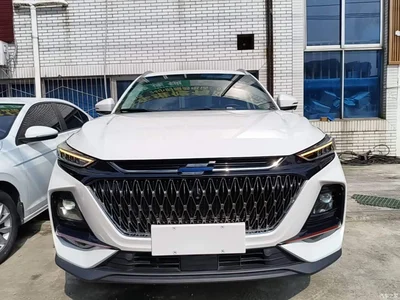 2022 Changan Oshan X7 PLUS 1.5T Blue Whale Edition Auto Executive, фото 3, лот 10408372