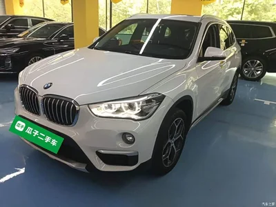 2019 BMW X1 xDrive20Li Luxury Model, фото 1, лот 10389395